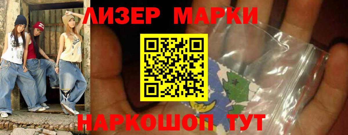 Галлюциногенные грибы Губкинский