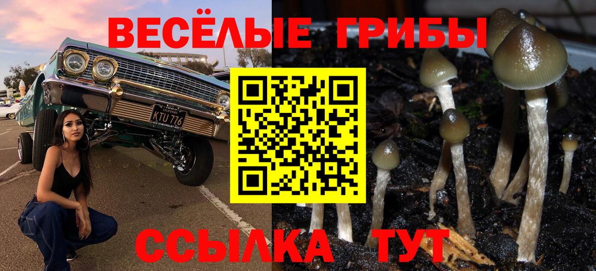 Галлюциногенные грибы Psilocybine cubensis  Вход с VPN  Губкинский 