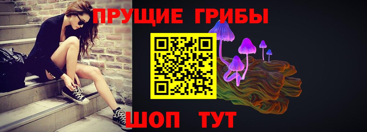 Псилоцибиновые грибы мицелий Губкинский